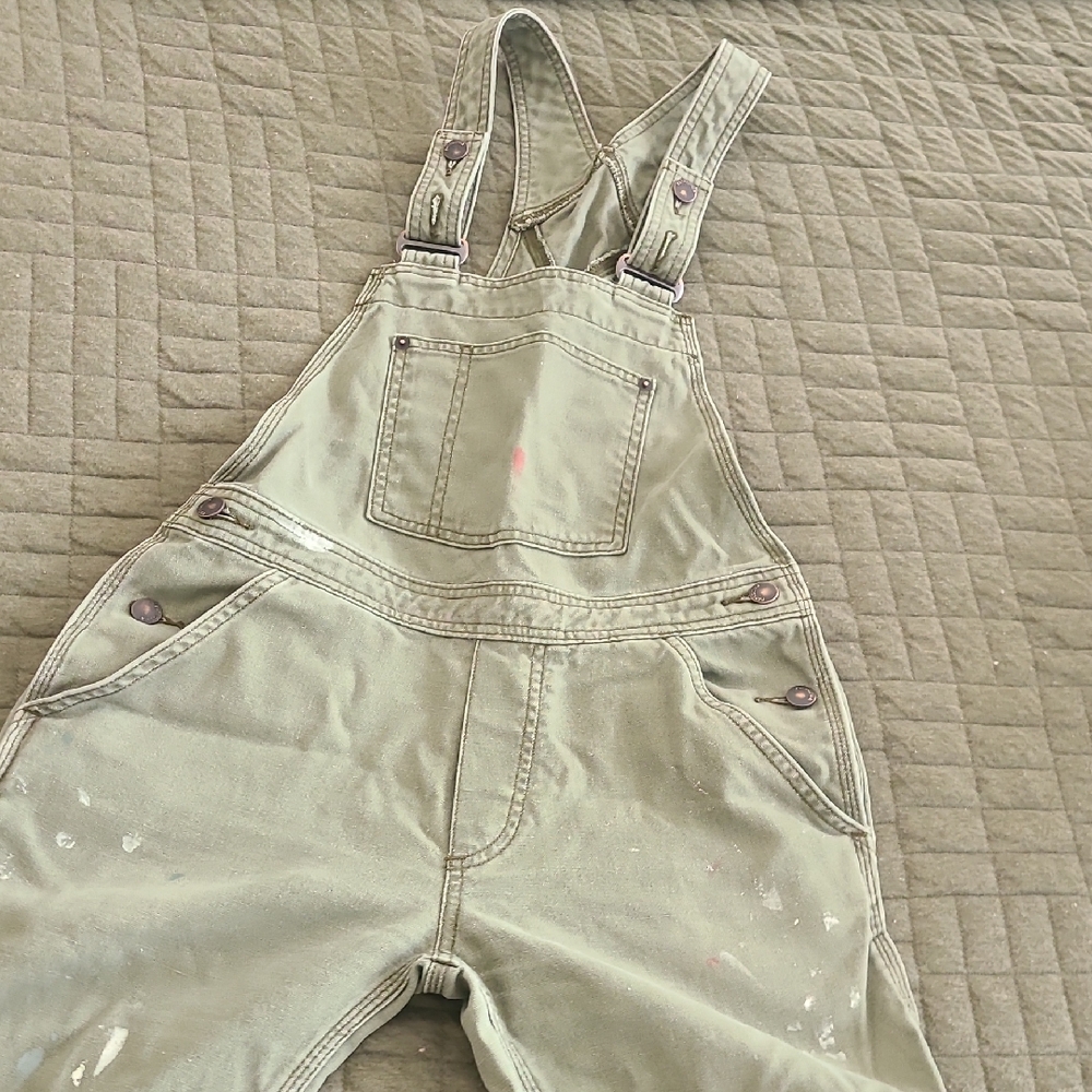 Patagonia Olive Green Worn Overalls